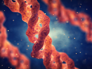 Polypeptide-69, Collagen Triple Helix