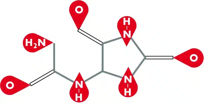 Allantoin molecule