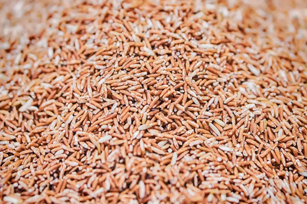 Oryzanol, rice, rice grains, gamma-oryzanol