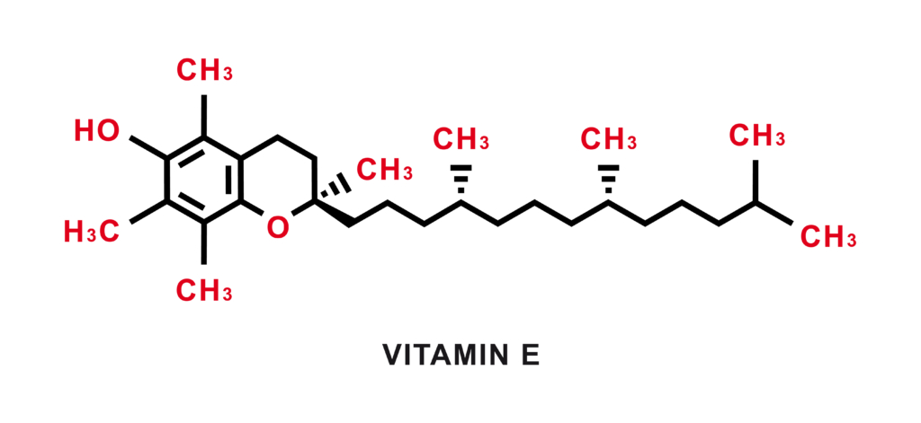 Chemische Formel von Vitamin E. Molekülstruktur von Vitamin E. Vektorgrafik