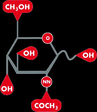 Acetylglucosamin Strukturformel des Moleküls